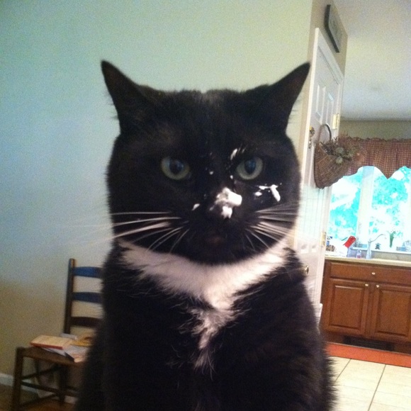 Meet your Posher, Heather - Picture 1 of 1